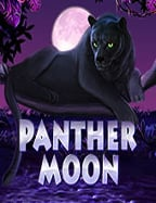 เทคนิคพิชิตชัย สล็อต357 ให้รวยแบบเซียน